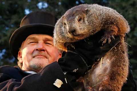 Groundhog Day Debacle (a little bit of fun)