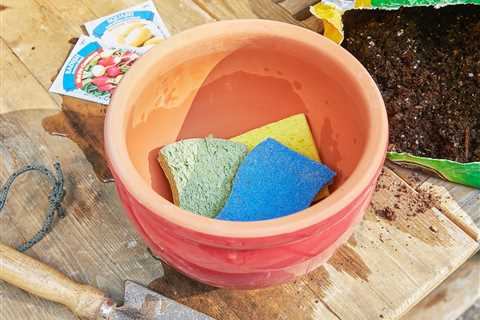 9 Best Sponge Hacks