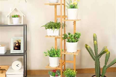 10 Plant Stands You and Your Indoor Plants Will Love