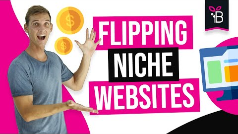 How To Make Money Flipping Niche Websites