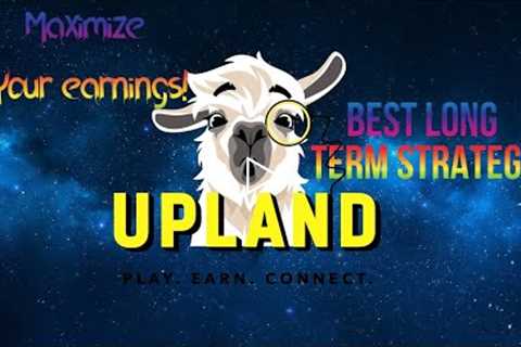 Best long term strategy in Upland - Maximizing your monthly earnings