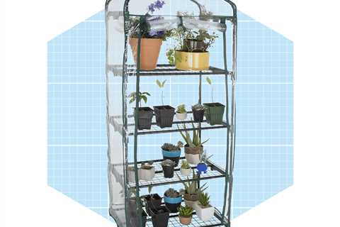 Guide To Choosing the Best Indoor Greenhouse