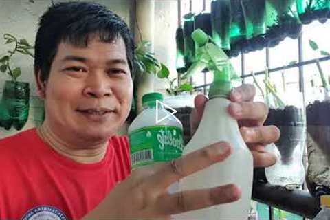 PAGGAWA NG NATURAL PESTICIDE (with ENG sub)