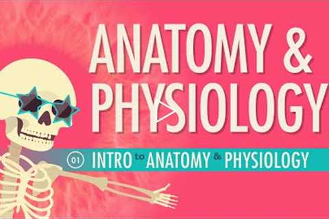 Introduction to Anatomy & Physiology: Crash Course Anatomy & Physiology #1