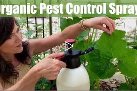 Organic Pest Control Spray for Your Vegetable Garden for Aphids & Chewing Insects