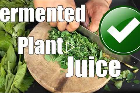 Fermented Plant Juice / Organic Fertilizer