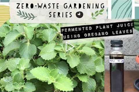 ZERO-WASTE GARDENING ♻️ How to Make Natural Fertilizer - Fermented Plant Juice (FPJ) 🍃