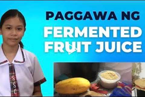 How to Make Fermented Fruit Juice | Papaya