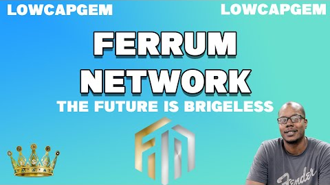 LowCapGem Frm Has Amazing Potential in A Bridgeless Future