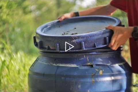 How To Make Free Liquid Fertilizer From Almost Anything with this Ancient Method