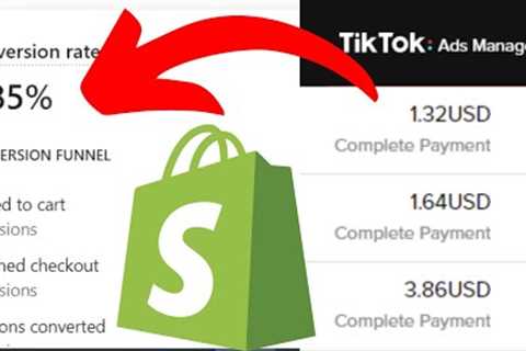 5.5X ROAS TikTok Ads Dropshipping (Pixel Cloak CBO) Testing Method 2022