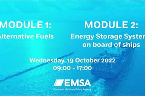 Workshop Alternative Fuels & Power Solutions for Shipping and Ports. Day 2