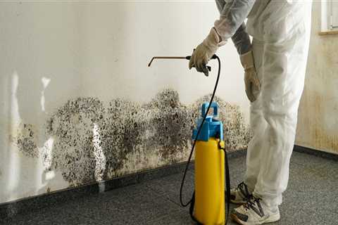 How do you prepare for mold removal?