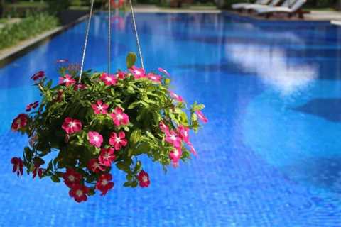 Will Swimming Pool Water Kill Plants? - SmartLiving - (888) 758-9103