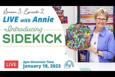 S3, Ep 2: Introducing Sidekick (LIVE with Annie)