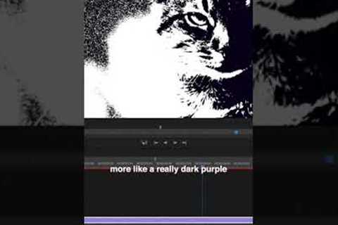 How to create a Pop Art Video Effect in Adobe Premiere Pro CC