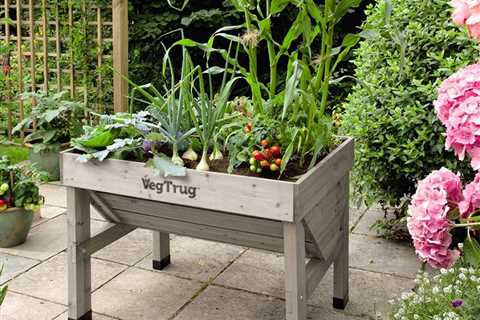 With the VegTrug Planter, You Don’t Need a Yard to Grow Fresh Veggies