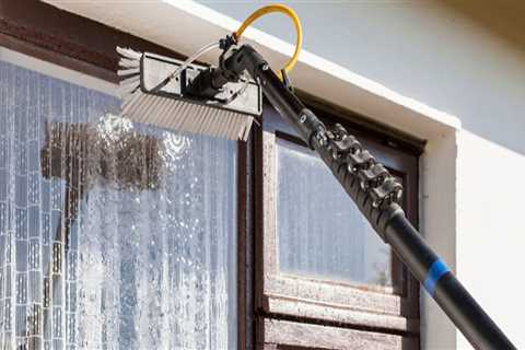 What do professional window cleaners use in their water?