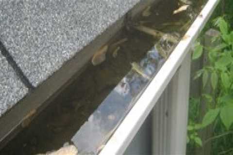 The Advantages of Specialist Gutter Cleaning for Mold And Mildew Prevention