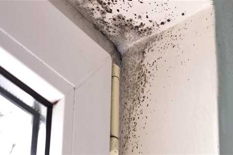 How do you address mold problems?