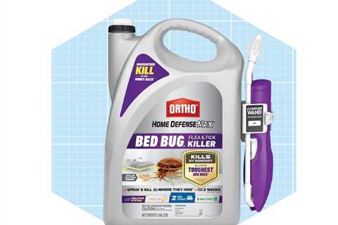 Get Rid of Bed Bugs ASAP with the 7 Best Bed Bug Sprays