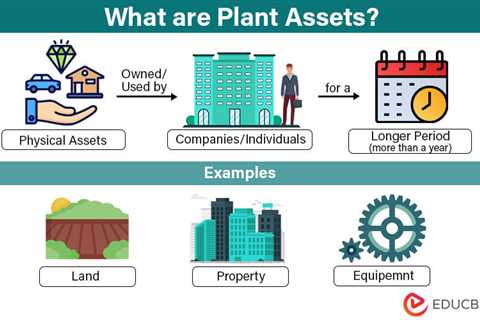 Plant Assets