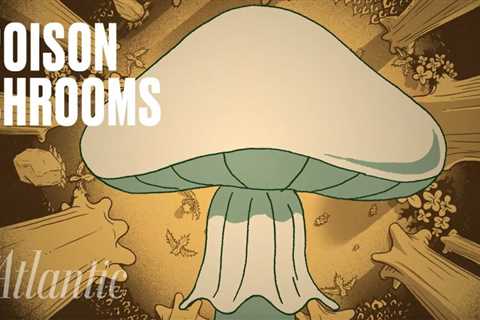 Death-Cap Mushrooms are Terrifying and Unstoppable: A Wild Animation