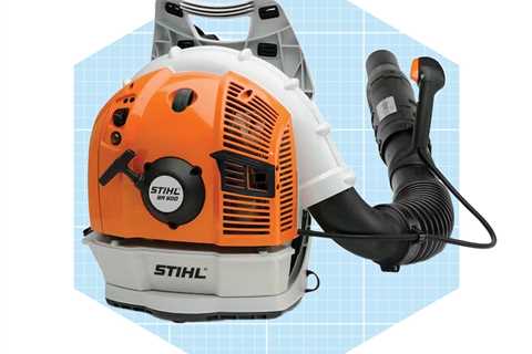 We Tried the Stihl BR 600 Backpack Blower, and It’s a Must-Have for Fall Cleanup