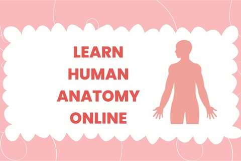 5 Best Human Anatomy Courses For Beginners in 2023