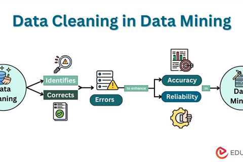 Data Cleaning in Data Mining