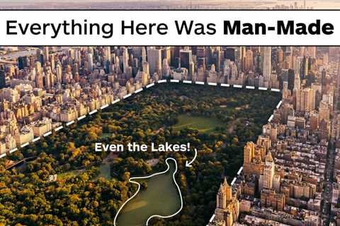 How Central Park Was Created Entirely By Design & Not By Nature: An Architect Breaks Down America’s ..