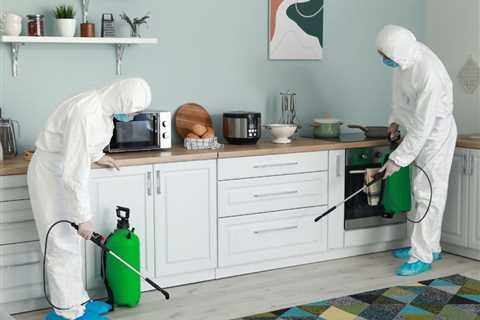 How to Choose a Home Disinfection Service?