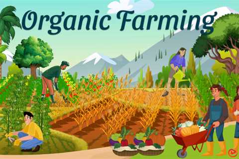 Essay on Organic Farming