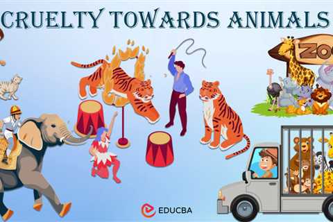 Essay on Cruelty Towards Animals