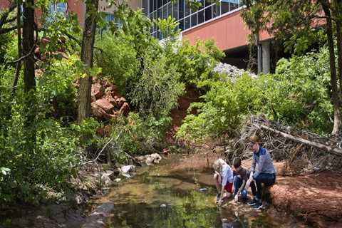 The Power of Outdoor Education and Environmental Programs in Central TX Schools