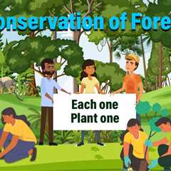 Essay on Conservation of Forest