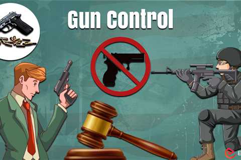 Essay on Gun Control