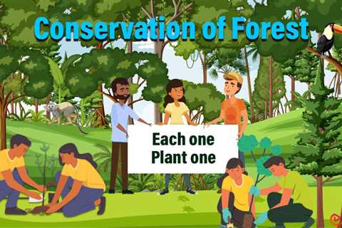 Essay on Conservation of Forest