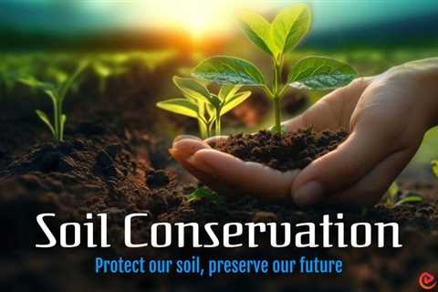 Essay on Soil Conservation