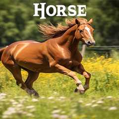 Essay on Horse