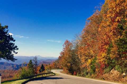 Discovering the Hidden Treasures of Bookstores in Northeastern North Carolina