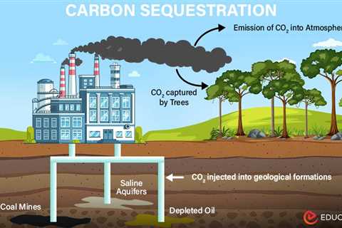 Carbon Sequestration