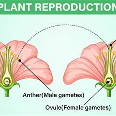 Plant Reproduction