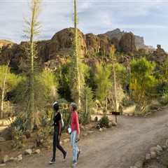 The Education System in Pinal County, Arizona: Ensuring Inclusive Education for Special Needs..