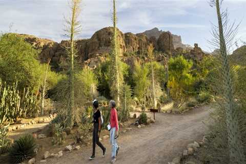 The Education System in Pinal County, Arizona: Ensuring Inclusive Education for Special Needs..