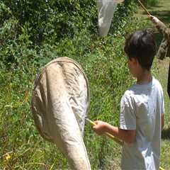 The Benefits of After-School Programs in Alachua County, Florida