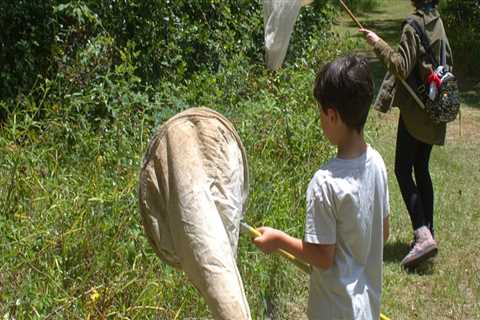 The Benefits of After-School Programs in Alachua County, Florida