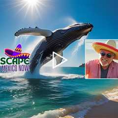 How to Generate a Lifetime of Unlimited Wealth with Robert Allen