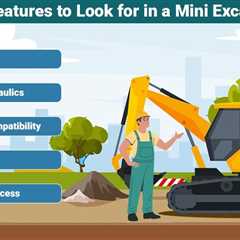 Mini Excavator