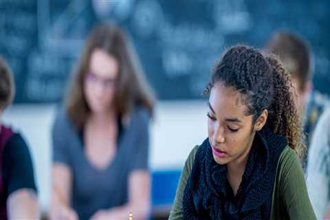 Unlocking the Demographics of Students at Learning Centers in Southern New Hampshire